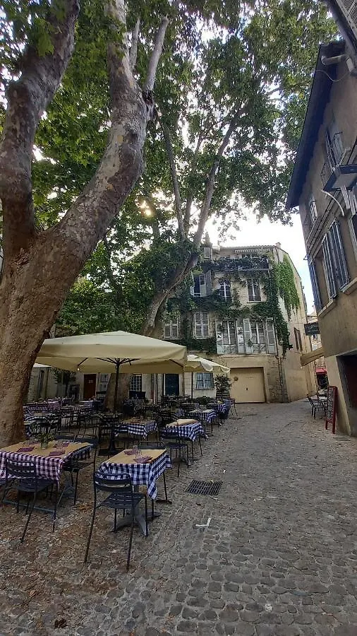 Apartment Le Saint Didier - Wifi - Central Avignon